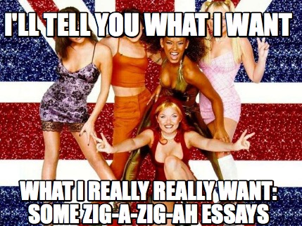 ill-tell-you-what-i-want-what-i-really-really-want-some-zig-a-zig-ah-essays