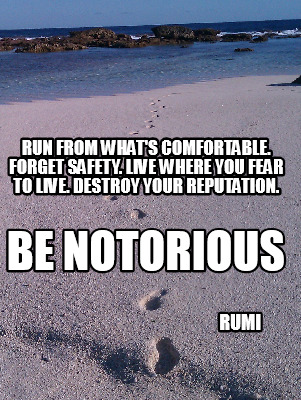 run-from-whats-comfortable.-forget-safety.-live-where-you-fear-to-live.-destroy-6