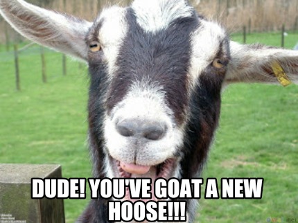 dude-youve-goat-a-new-hoose