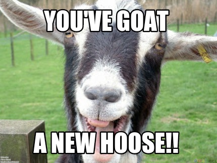 youve-goat-a-new-hoose3