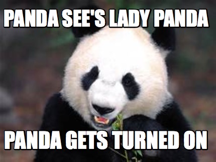 panda-sees-lady-panda-panda-gets-turned-on