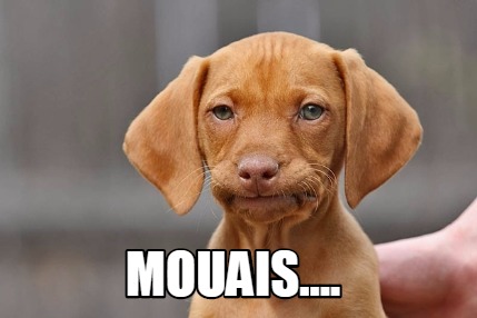 Meme Creator Funny Mouais.... Meme Generator at