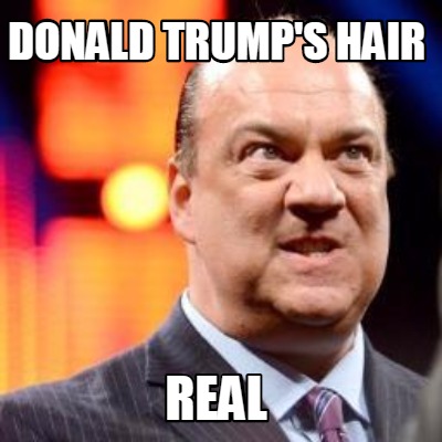 donald-trumps-hair-real