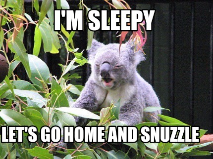 im-sleepy-lets-go-home-and-snuzzle
