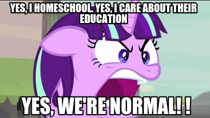 yes-i-homeschool.-yes-i-care-about-their-education-yes-were-normal-