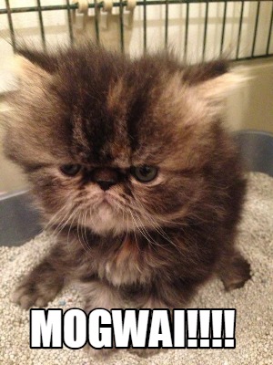 mogwai