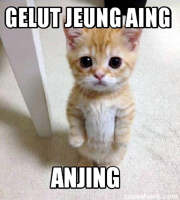 Meme Creator Funny Gelut Jeung Aing Anjing Meme Generator At