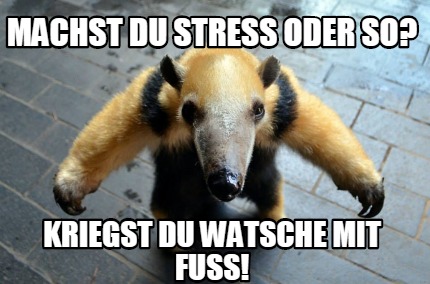 machst-du-stress-oder-so-kriegst-du-watsche-mit-fuss