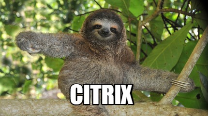 citrix55