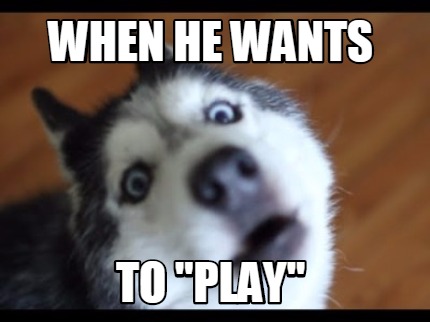 when-he-wants-to-play