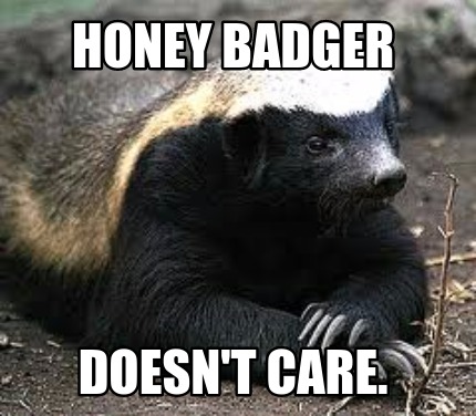 honey-badger-doesnt-care