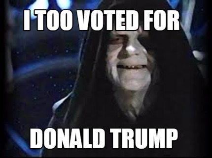 i-too-voted-for-donald-trump