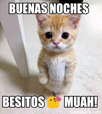 Meme Creator - Funny Buenas noches Besitos ???? muah! Meme Generator at ! Meme Creator - Funny Buenas noches Besitos ???? muah! Meme Generator at !