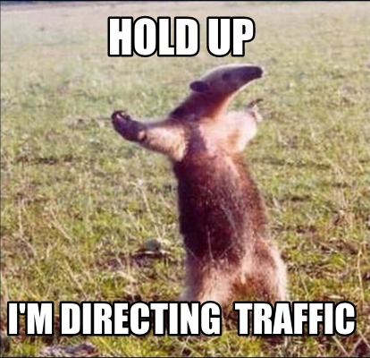 Meme Creator - Funny hold up I'm directing traffic Meme Generator at  !