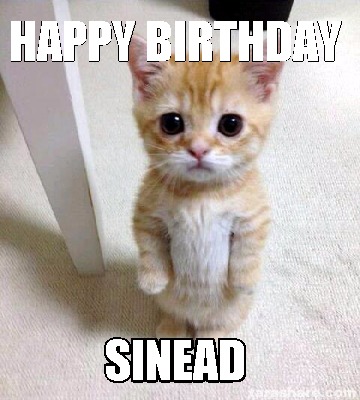 Valuable Sad birthday cat Can suggest Sad birthday cat accept