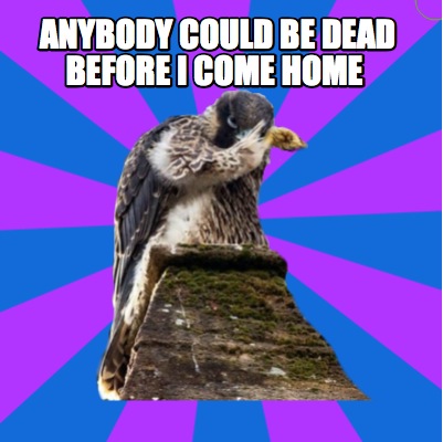 anybody-could-be-dead-before-i-come-home