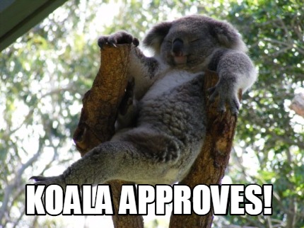 koala-approves6