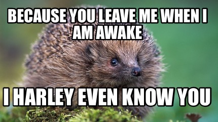 because-you-leave-me-when-i-am-awake-i-harley-even-know-you