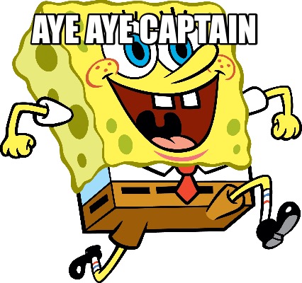 aye-aye-captain9