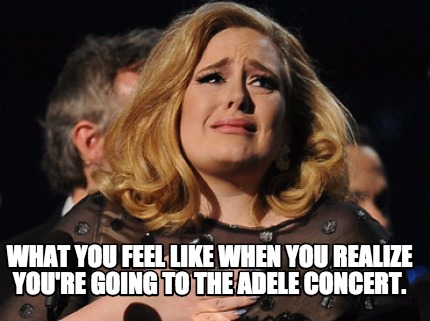 what-you-feel-like-when-you-realize-youre-going-to-the-adele-concert