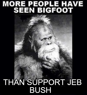 than-support-jeb-bush