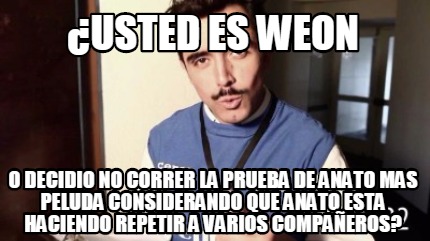 usted-es-weon-o-decidio-no-correr-la-prueba-de-anato-mas-peluda-considerando-que