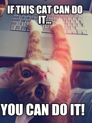 if-this-cat-can-do-it...-you-can-do-it