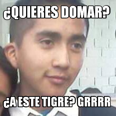 quieres-domar-a-este-tigre-grrrr