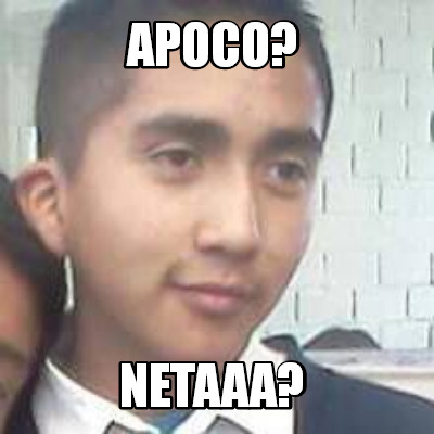 apoco-netaaa