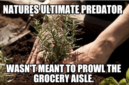 natures-ultimate-predator-wasnt-meant-to-prowl-the-grocery-aisle