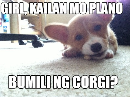 girl-kailan-mo-plano-bumili-ng-corgi