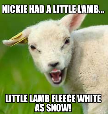 nickie-had-a-little-lamb...-little-lamb-fleece-white-as-snow