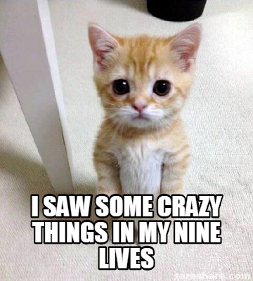 Meme Creator - Funny i saw some crazy things in my nine lives Meme Generator at MemeCreator.org!