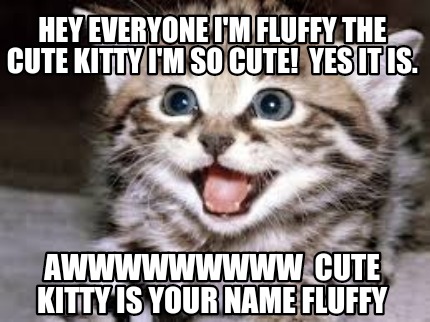 hey-everyone-im-fluffy-the-cute-kitty-im-so-cute-yes-it-is.-awwwwwwwww-cute-kitt