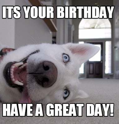 Meme Creator - Funny its your birthday have a great day! Meme Generator at  !