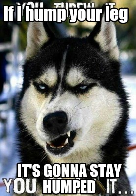 if-i-hump-your-leg-its-gonna-stay-humped