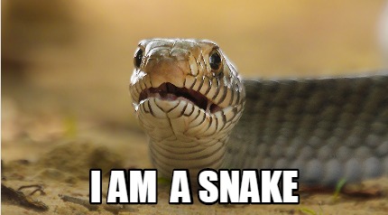 Meme Creator - Funny I am a snake Meme Generator at !