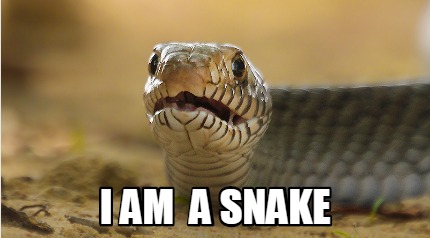 Meme Creator - Funny I am a snake Meme Generator at ! Meme Creator - Funny I am a snake Meme Generator at !