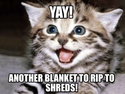 yay-another-blanket-to-rip-to-shreds