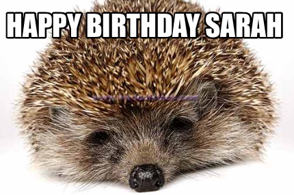 happy-birthday-sarah1