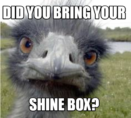 did-you-bring-your-shine-box