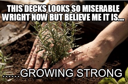 this-decks-looks-so-miserable-wright-now-but-believe-me-it-is....-......growing-