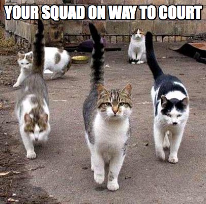 your-squad-on-way-to-court