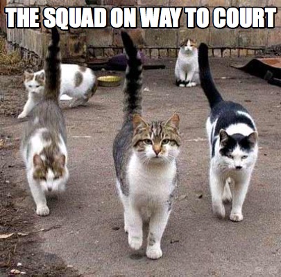 the-squad-on-way-to-court