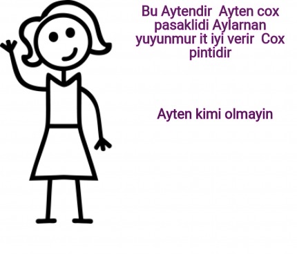 bu-aytendir-ayten-cox-pasaklidi-aylarnan-yuyunmur-it-iyi-verir-cox-pintidir-ayte