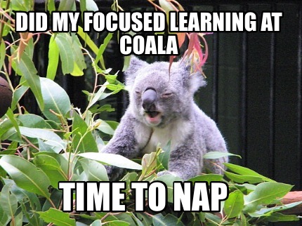 did-my-focused-learning-at-coala-time-to-nap