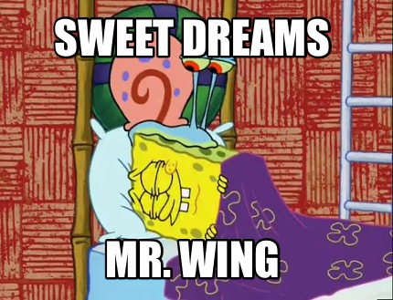 sweet-dreams-mr.-wing3