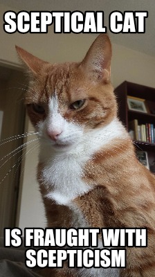 sceptical-cat-is-fraught-with-scepticism