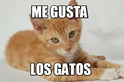 me-gusta-los-gatos