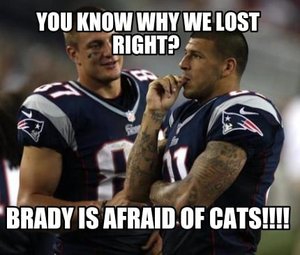 you-know-why-we-lost-right-brady-is-afraid-of-cats